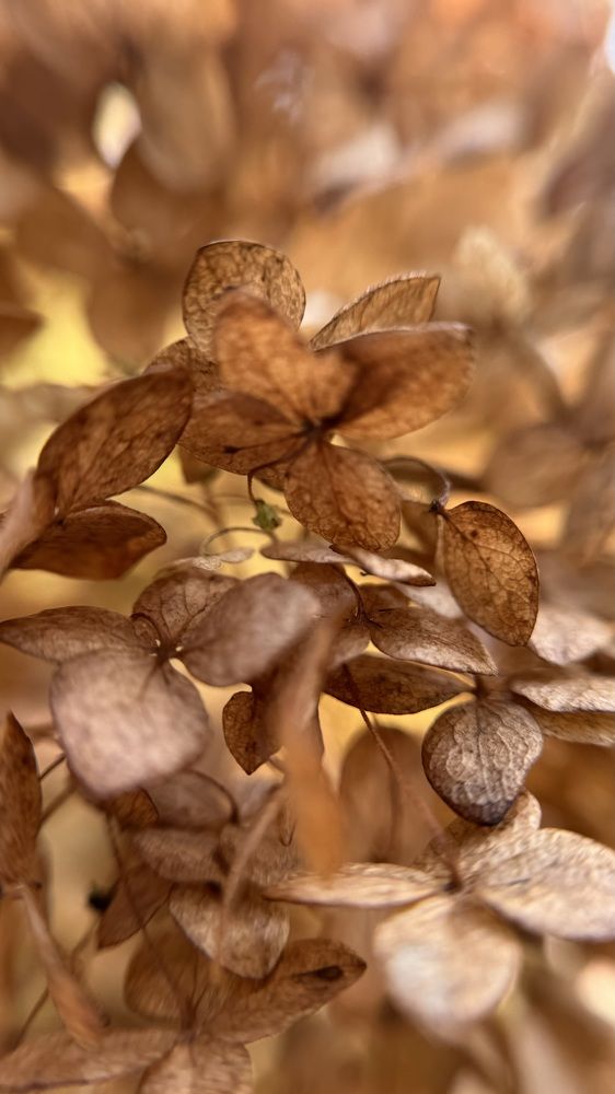 Photograph by Светлана Родионова