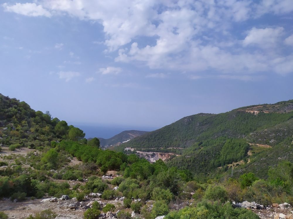 Photograph by Татьяна Клемба