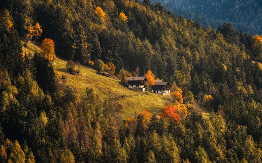 Photograph by Alain Veldin