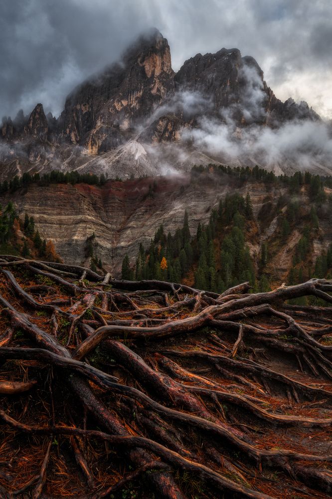 Photograph by Alain Veldin