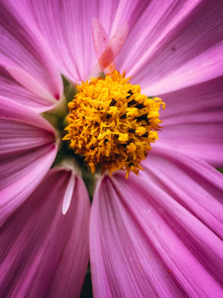 Photograph by Анастасия Короленко