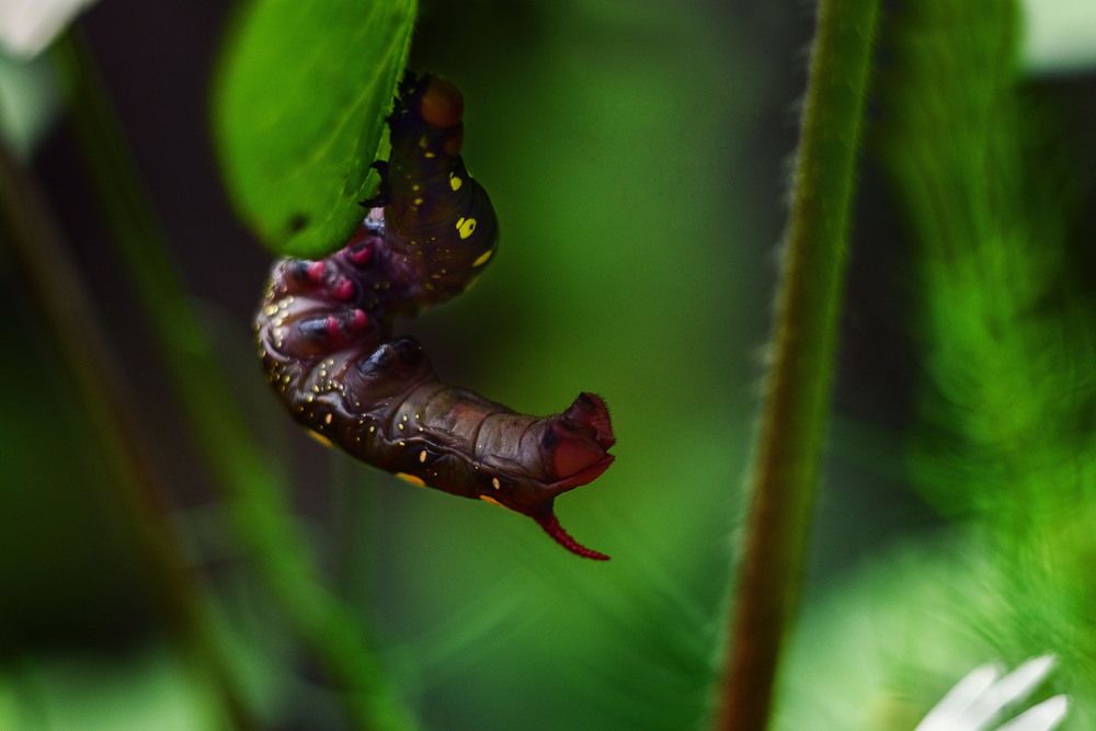 Photograph by Равиль Исмаилов