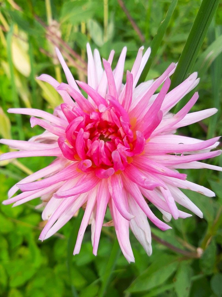 Photograph by Галина Глазкова