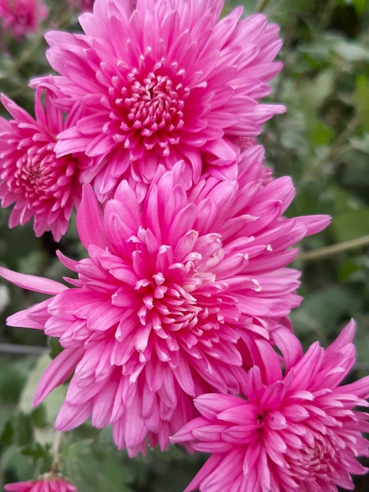 Photograph by Галина Глазкова