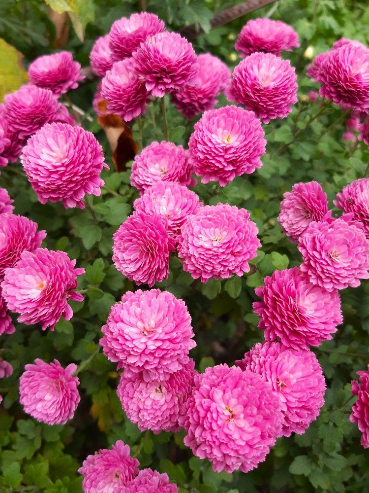 Photograph by Галина Глазкова