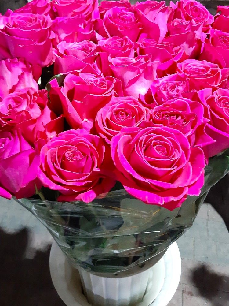 Photograph by Галина Глазкова