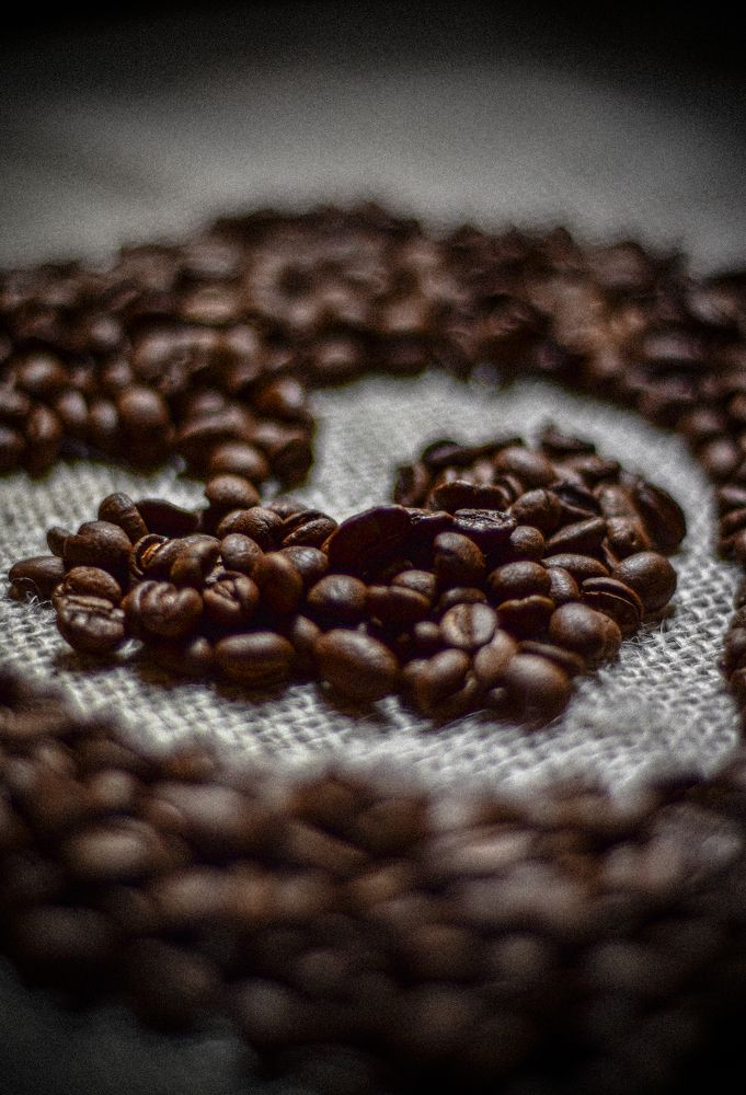 Photograph by NADER AYMAN