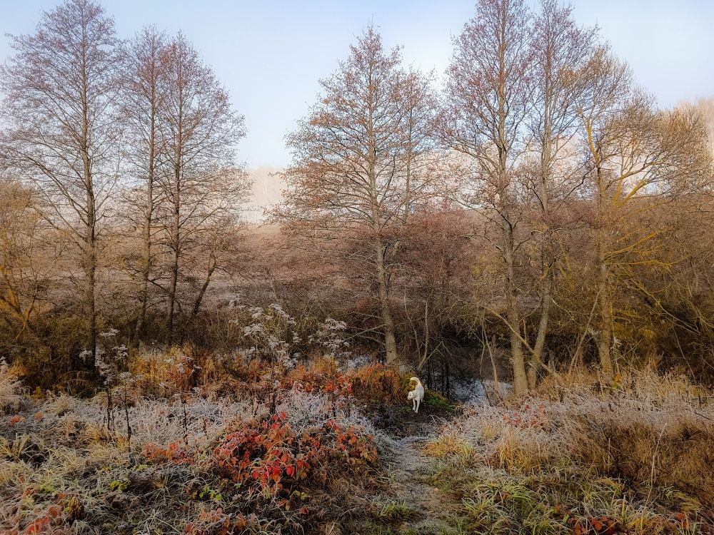 Photograph by Кондрашова Светлана