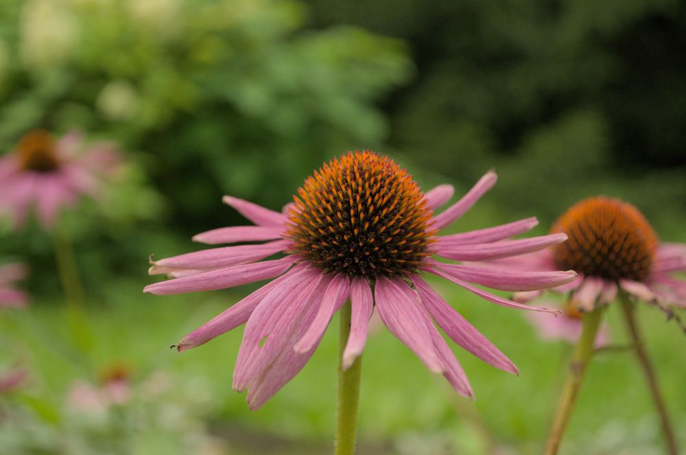 Фотография автора Мария Жданова