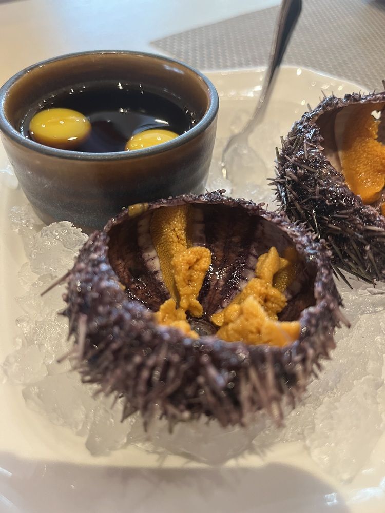 Фотография автора Мария Жданова