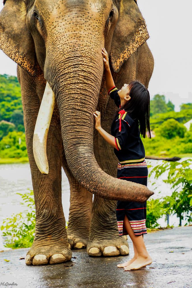 Фотография автора Quan Hung