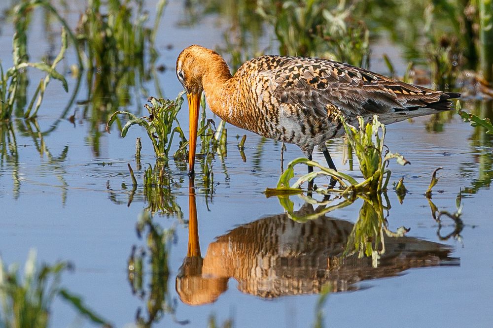 Photograph by Георгий Кулаковский