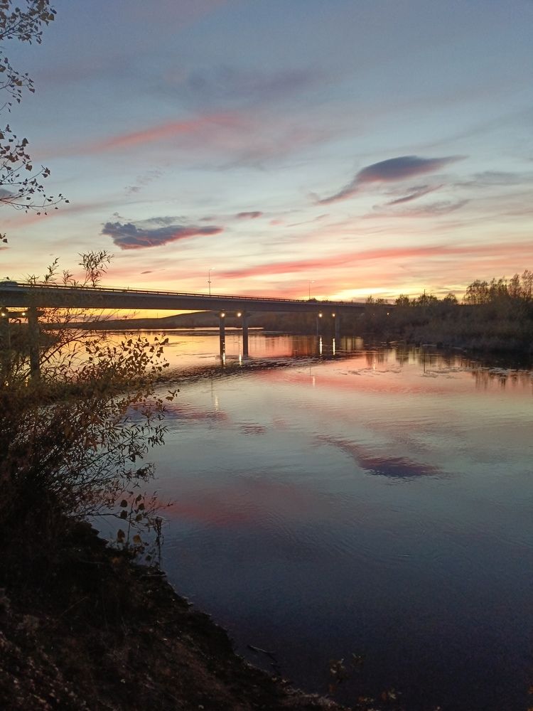 Photo #11444596