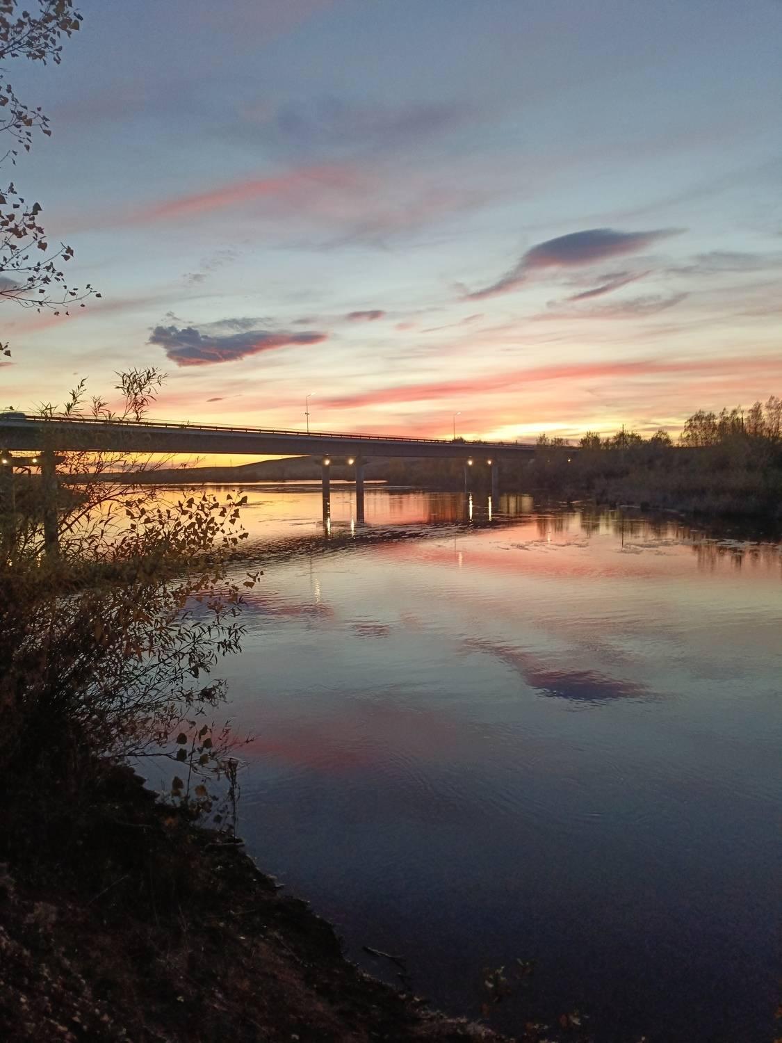 Photo #11444596