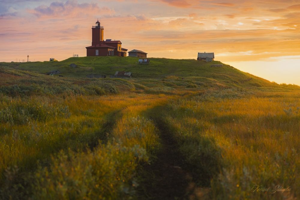 Фотография автора Ксения Зайцева