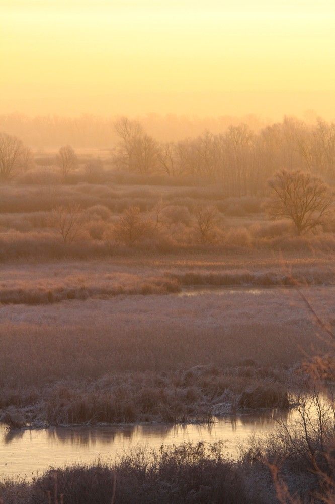 Фотография автора Татьяна Шебаршенко