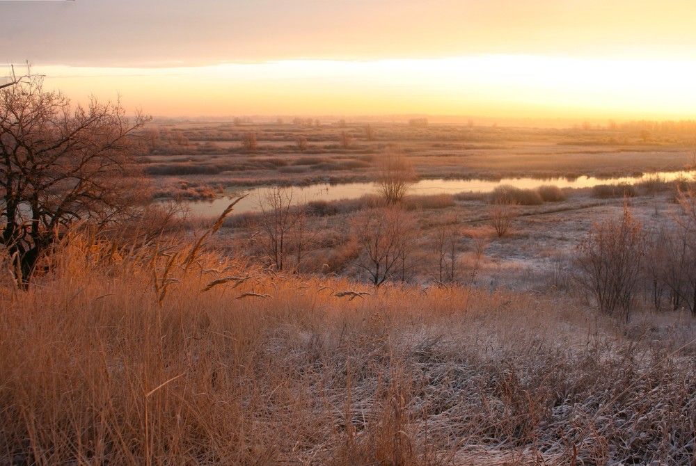 Фотография автора Татьяна Шебаршенко
