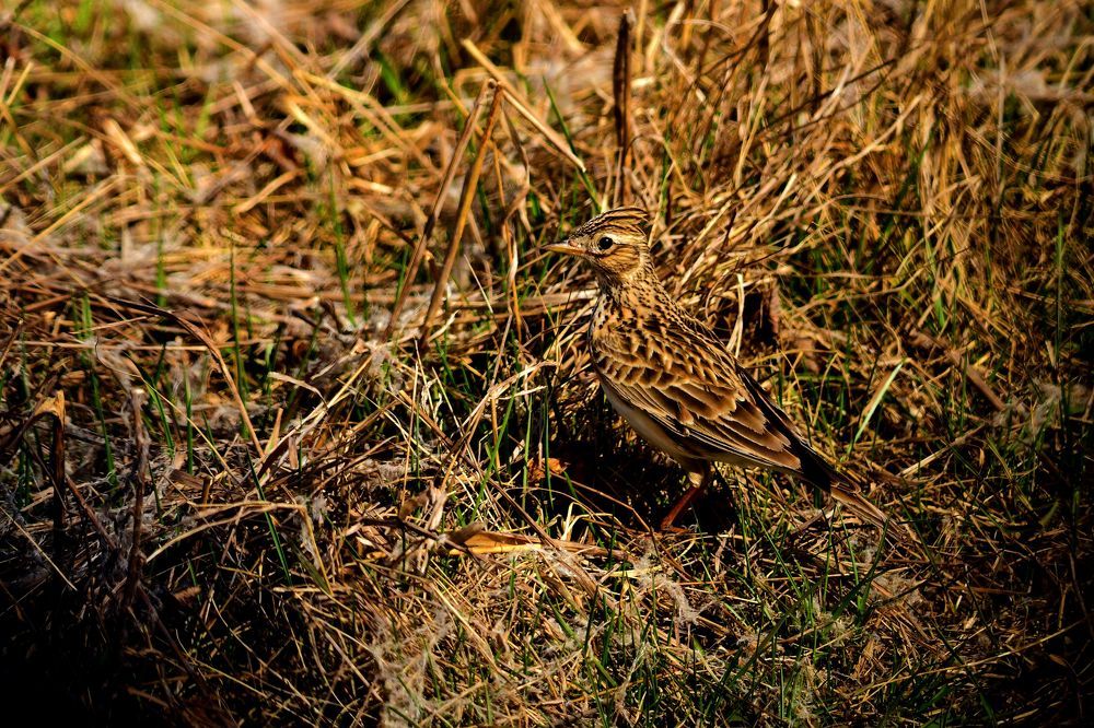 Photograph by Николай Абакумов