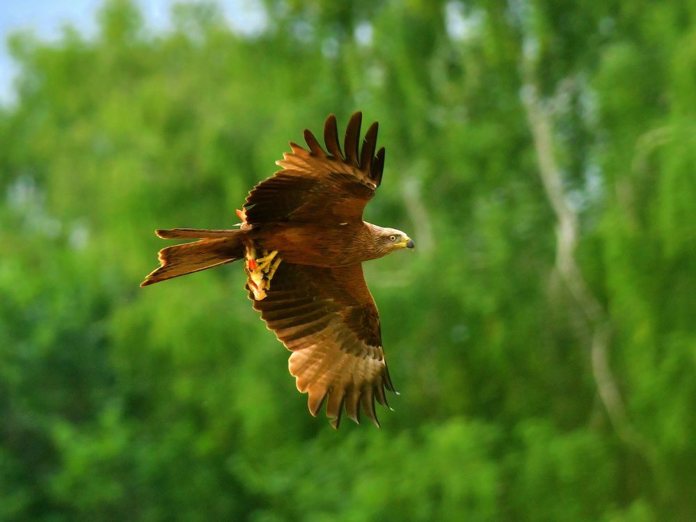 Photograph by Николай Абакумов