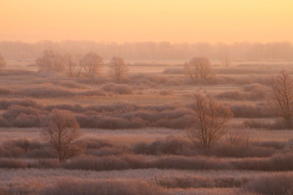 Фотография автора Татьяна Шебаршенко