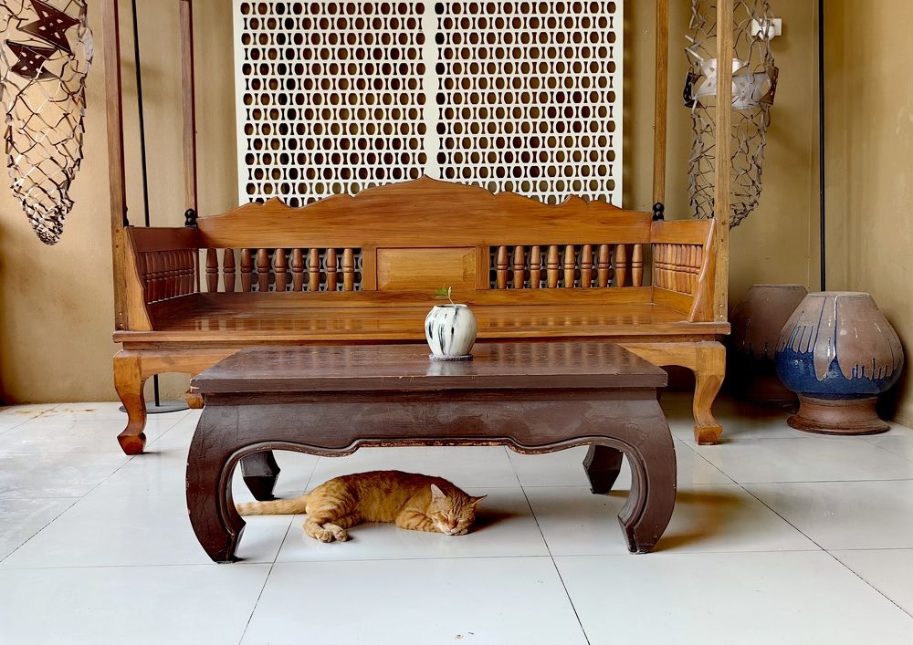 Photograph by Светлана Булыгина