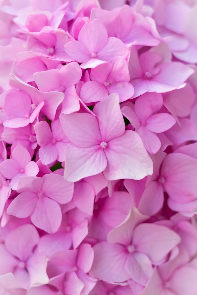 Photograph by Ирина Никульча