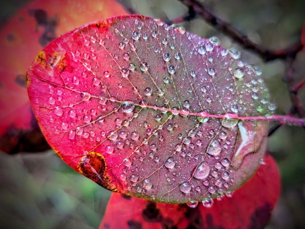 Photograph by 
