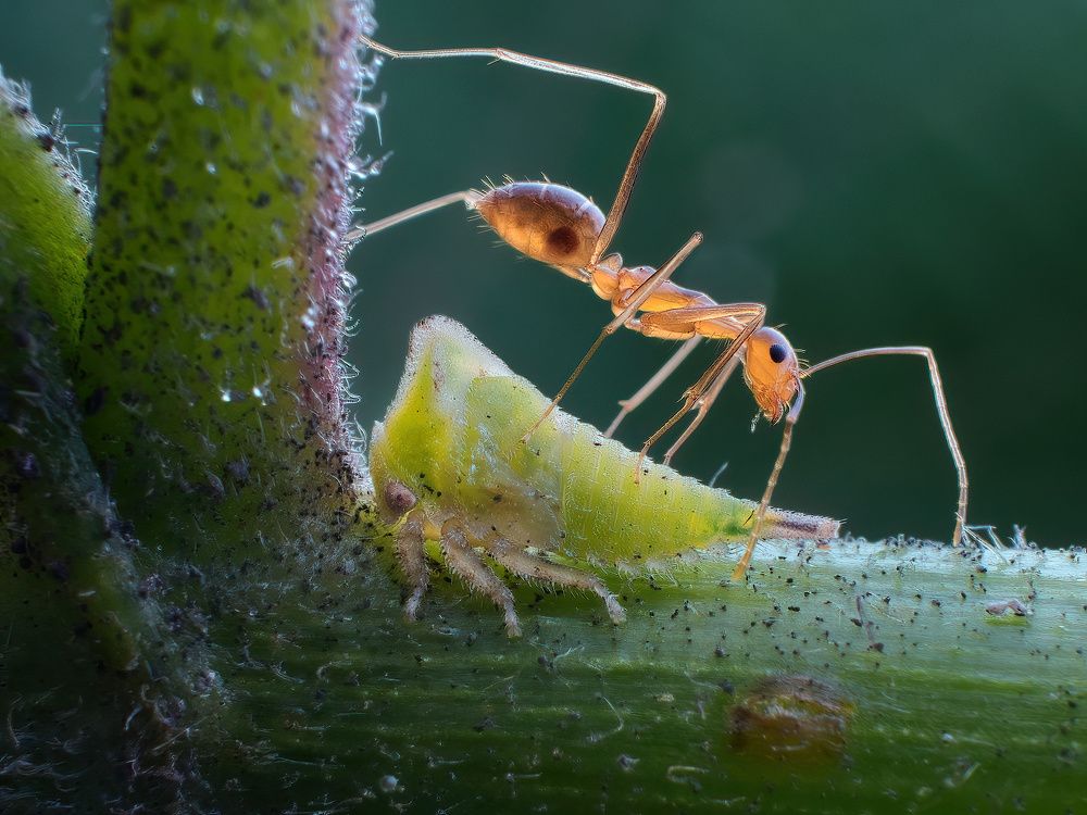 Photograph by Li Chen-You