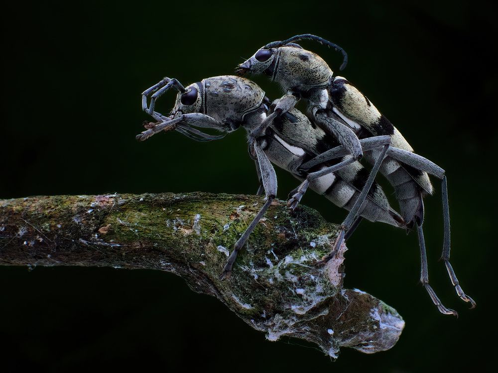 Photograph by Li Chen-You