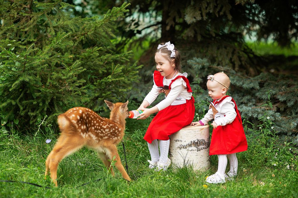 Photograph by Артур Усманов