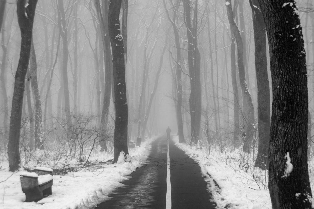 Photograph by Виталий Маслов