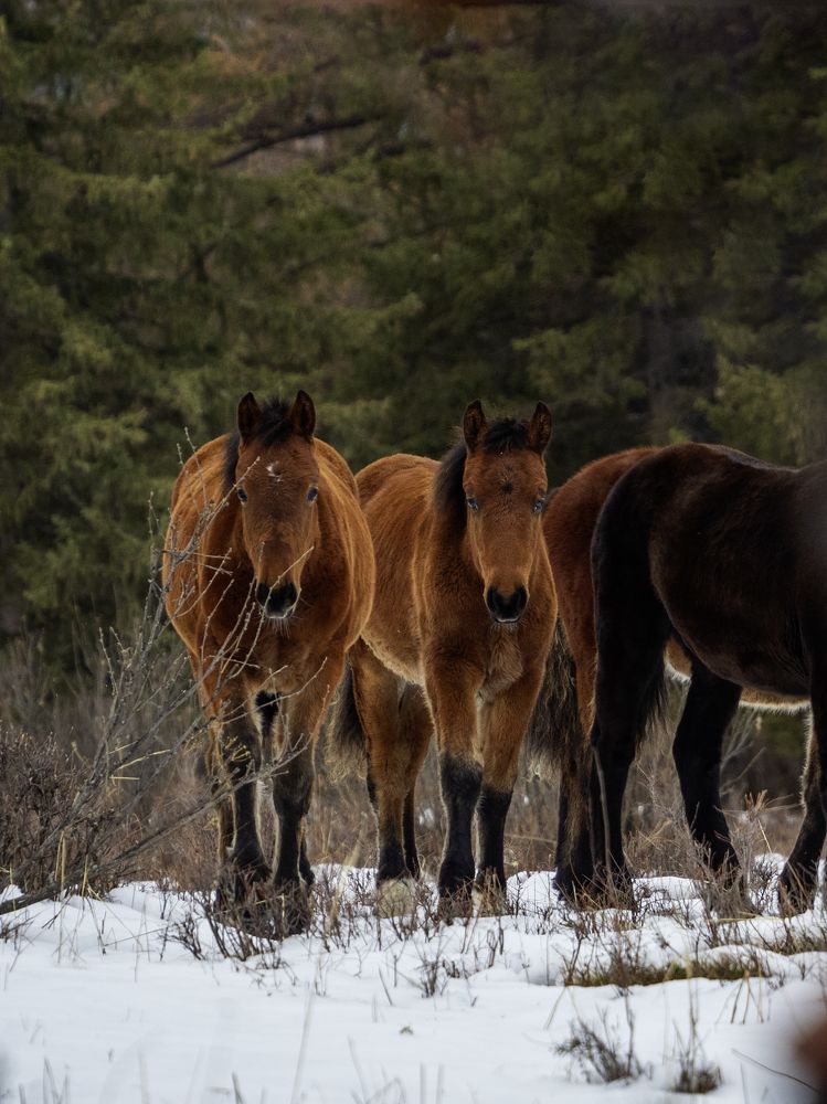 Photograph by Надежда Михайлина