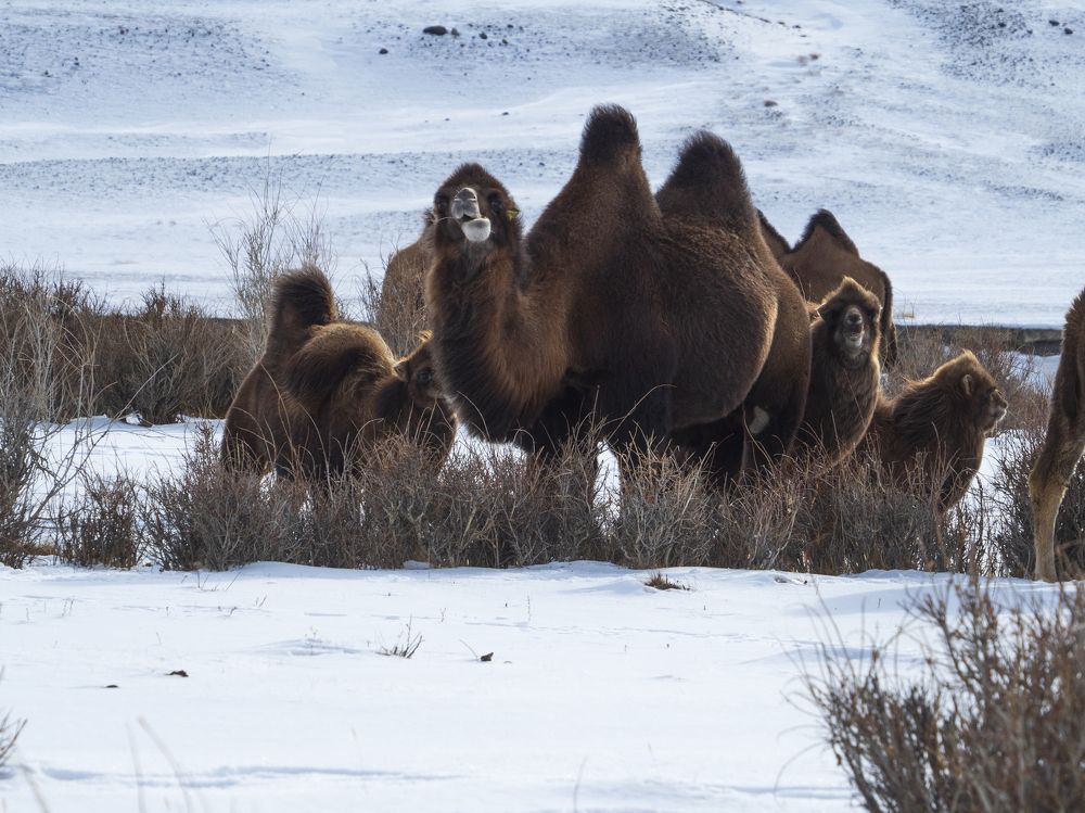 Photograph by Надежда Михайлина