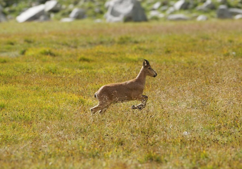 Photograph by Игорь Семеновский
