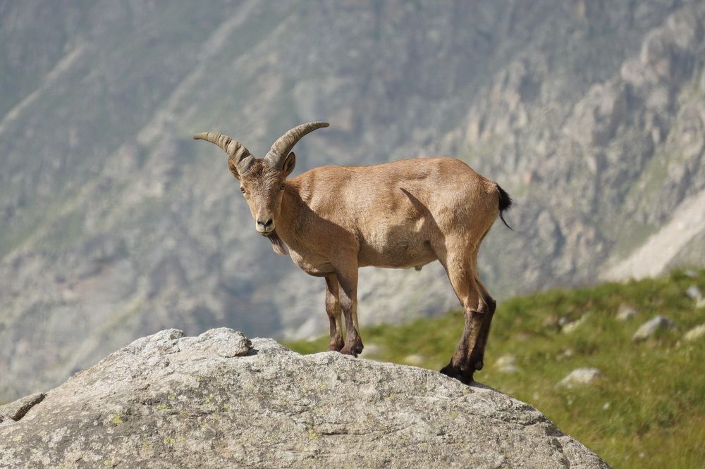 Photograph by Игорь Семеновский