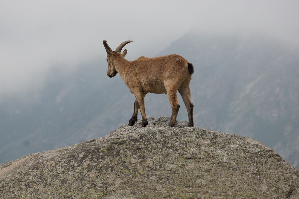 Photograph by Игорь Семеновский