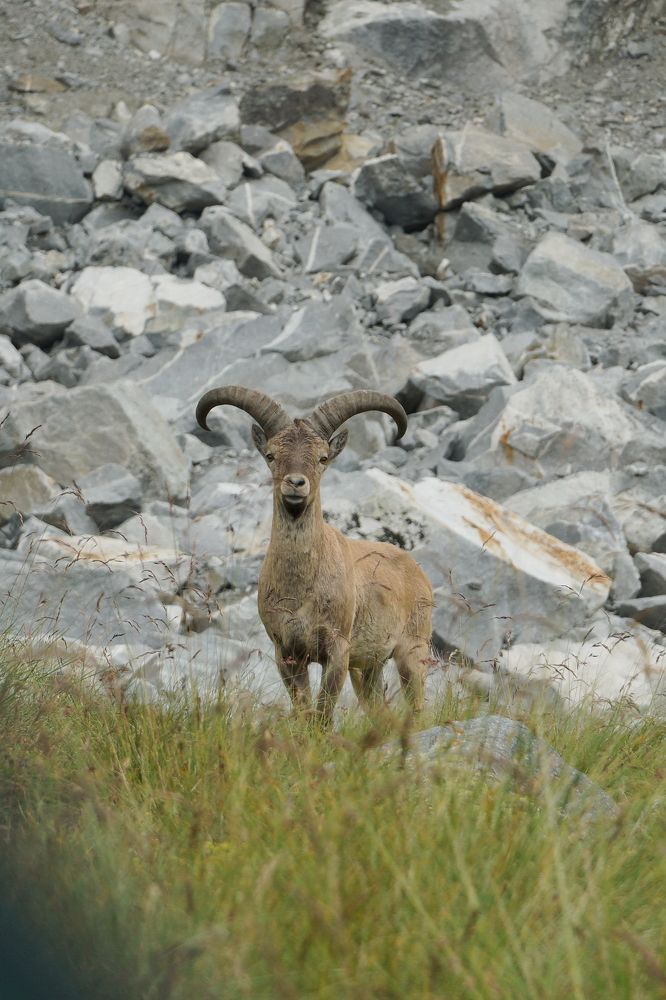 Photograph by Игорь Семеновский