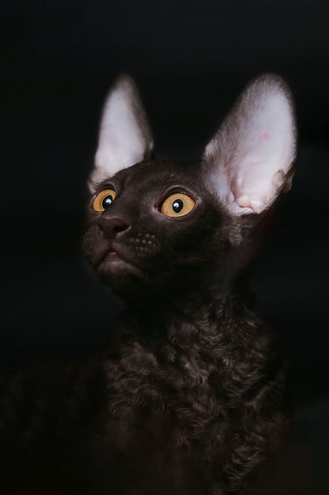 Photograph by Любовь Похабова