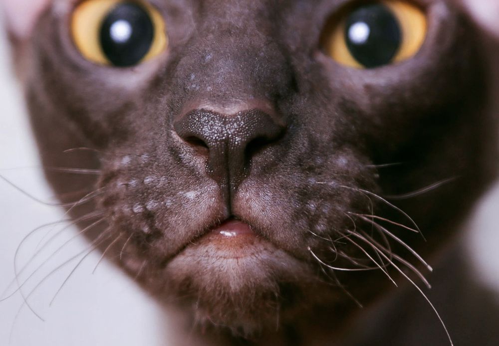 Photograph by Любовь Похабова