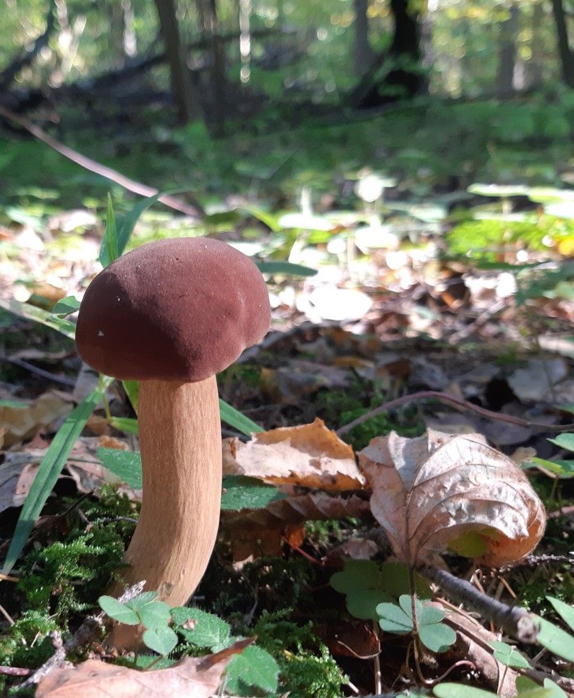 Photograph by Ольга Хромова