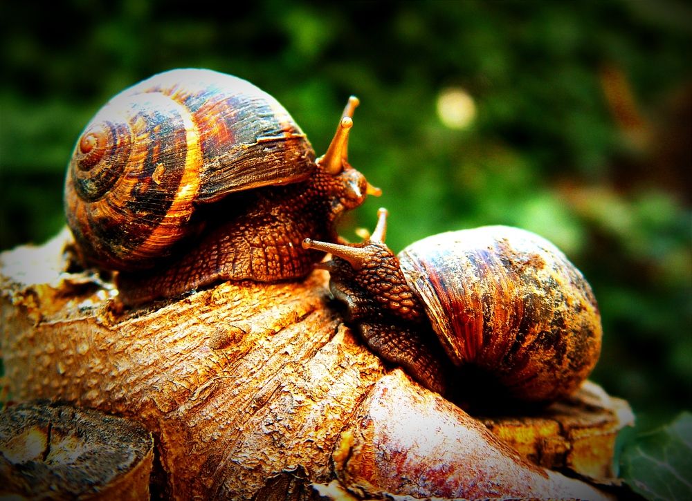 Photograph by Владимир Ким