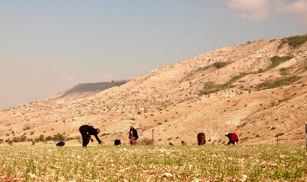 Photograph by יפעת ברונשטיין כהן