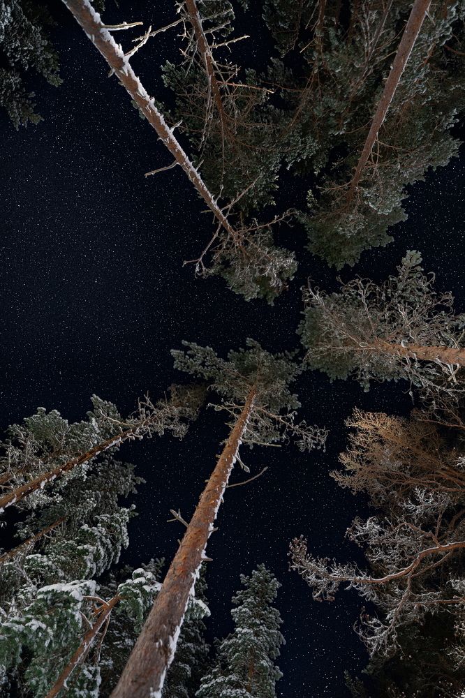 Photograph by Игорь Семеновский