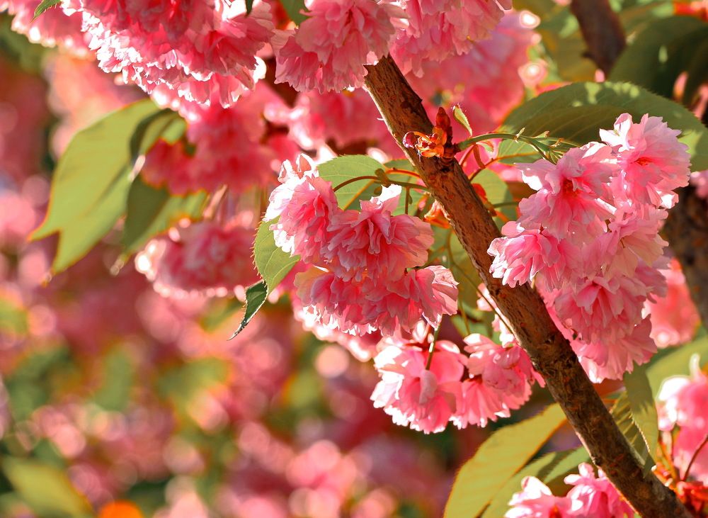 Москва, в парке.