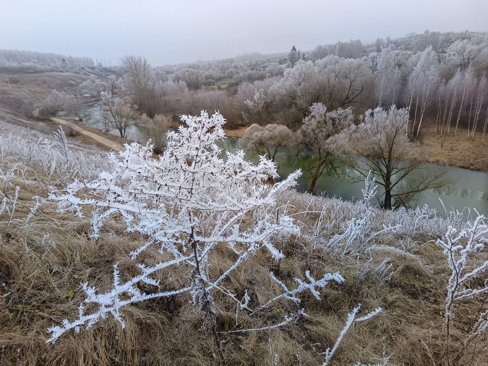 Photograph by Кондрашова Светлана