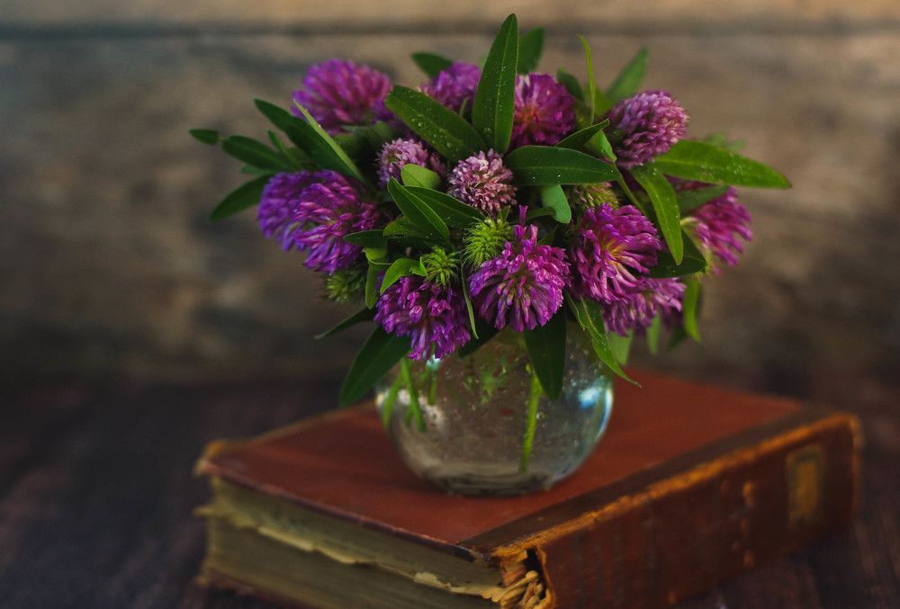 Photograph by Наталья Екимова