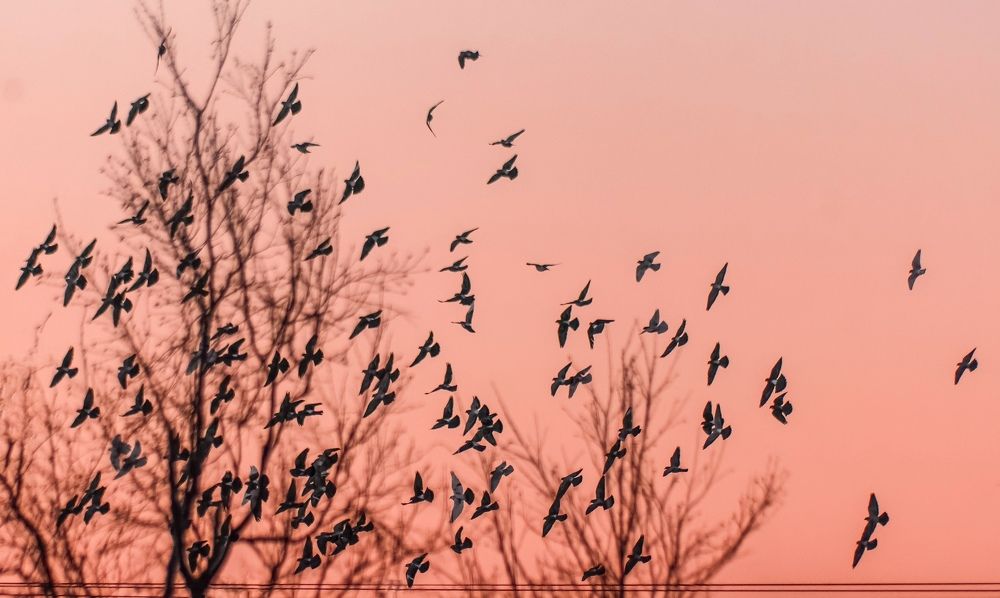 Photograph by Елизавета Нефедова