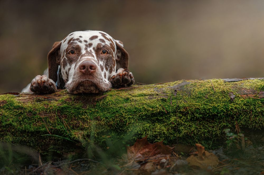 Photograph by Яна Нарбутович