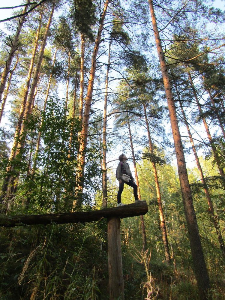 Photograph by Татьяна Смирнова