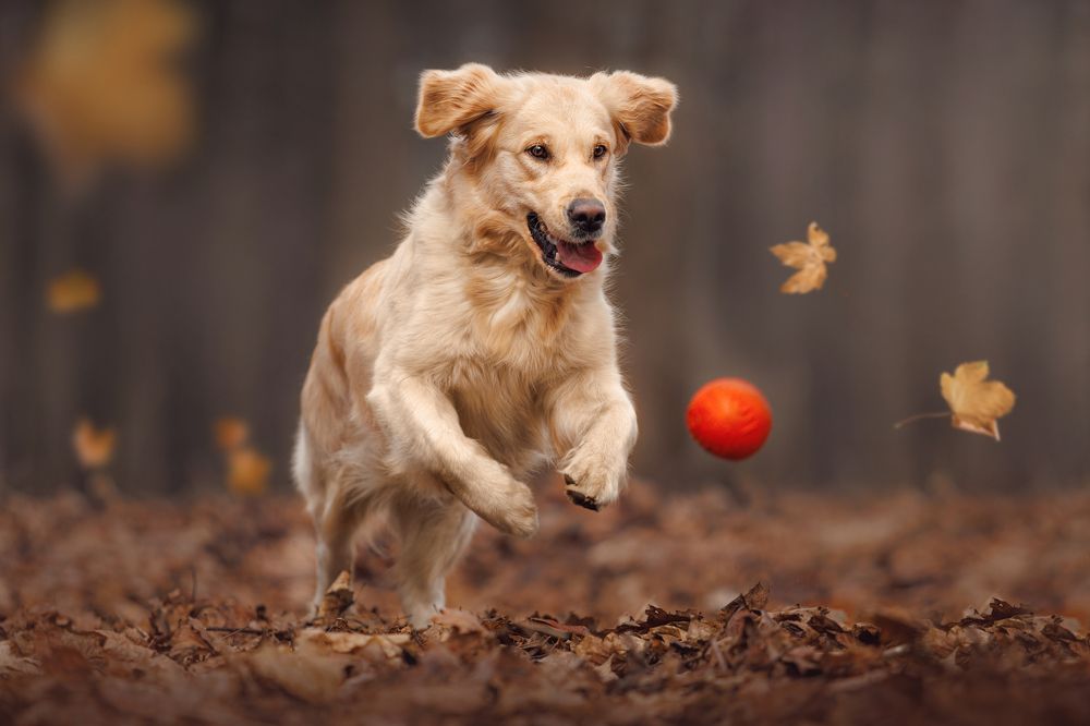 Photograph by Яна Нарбутович